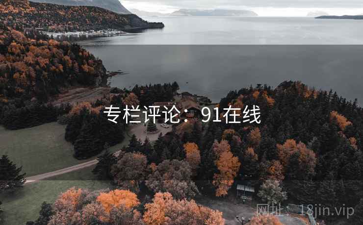 专栏评论：91在线