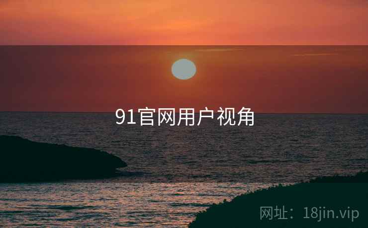 91官网用户视角