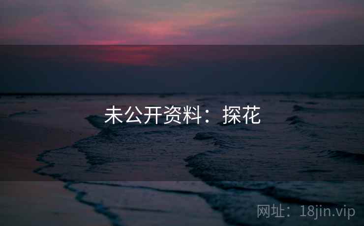 未公开资料：探花