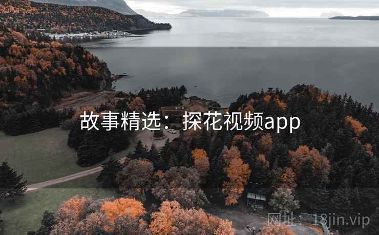 故事精选：探花视频app