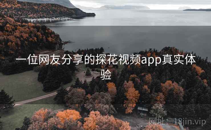 一位网友分享的探花视频app真实体验