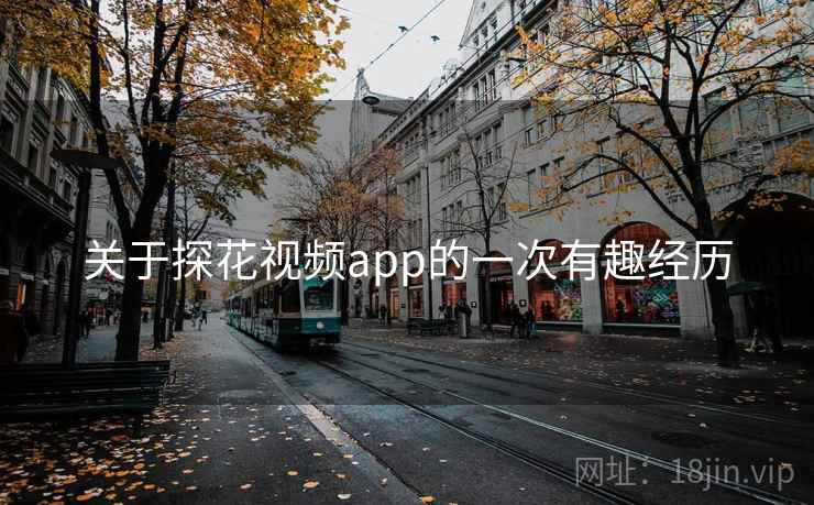 关于探花视频app的一次有趣经历